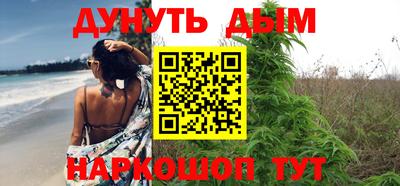a pvp Бийск