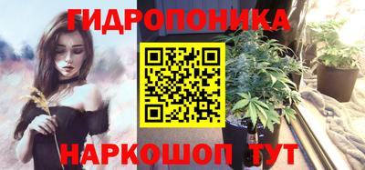 a pvp Бийск