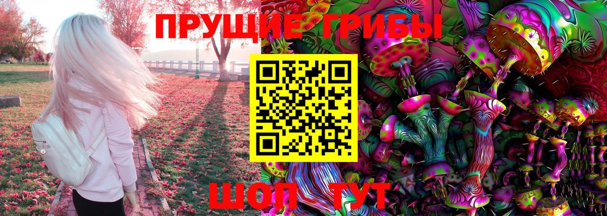 Псилоцибиновые грибы Psilocybine cubensis Клин