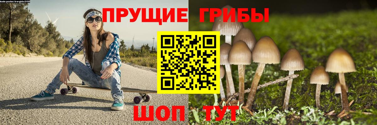 Псилоцибиновые грибы Magic Shrooms  Псилоцибиновые грибы MAGIC MUSHROOMS  Клин  Вход с VPN 
